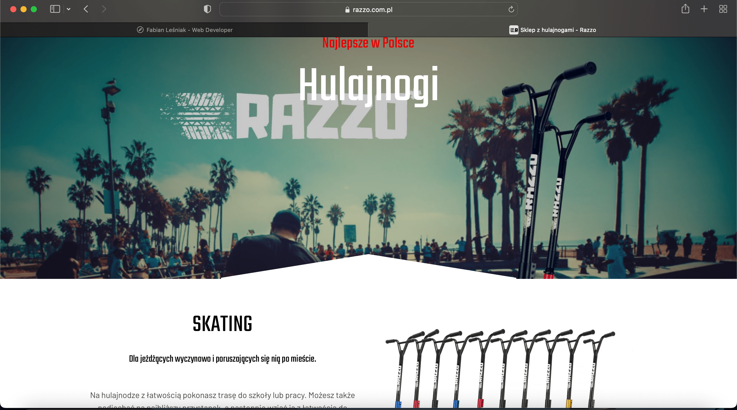 portfolio przykład 2